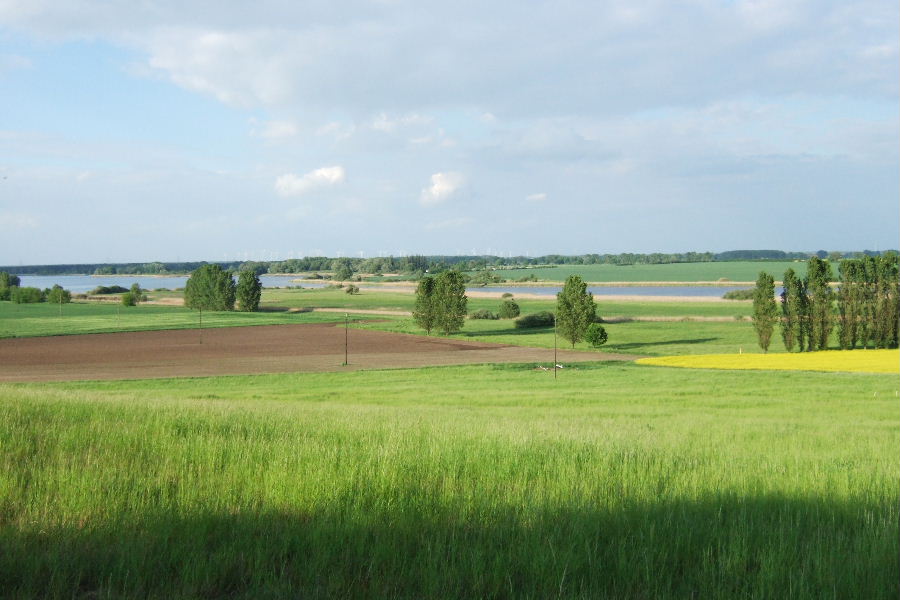 blick_vom_muehlenberg.JPG