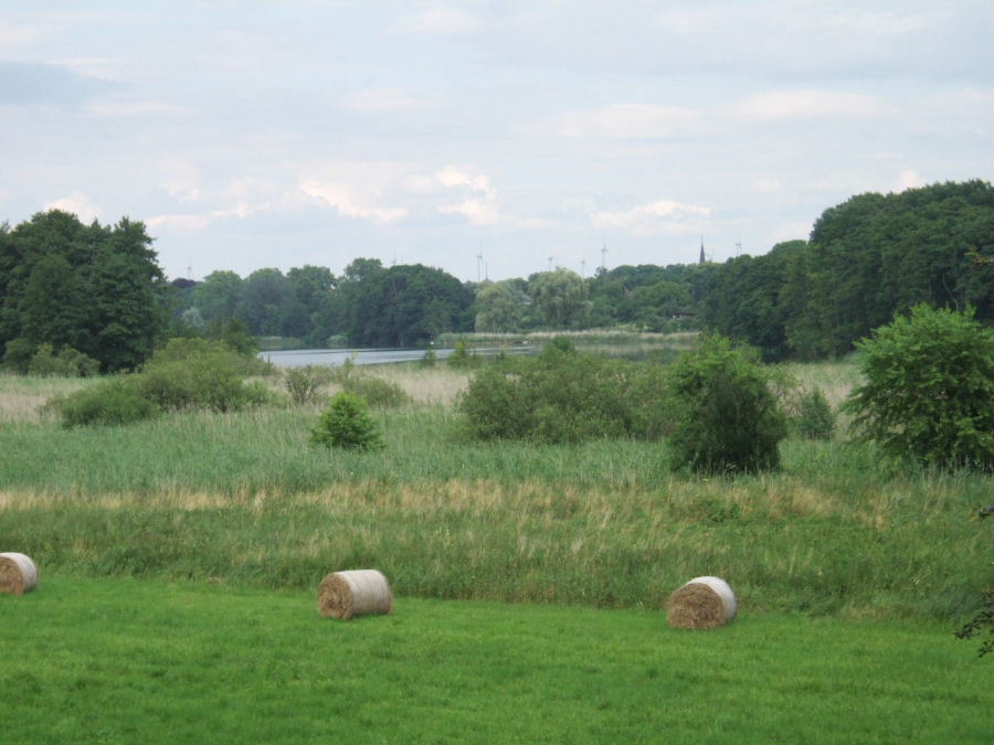 strohballen_am_gross_behnitzer_see.JPG